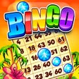 Icon of program: Bingo Story Live Bingo Ga…