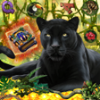 Icon of program: Kings Of Jungle