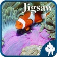 Icono de programa: Sea life Jigsaw Puzzles -…