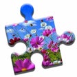 Icon of program: Beautiful Nature Puzzle