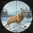 Icon of program: Animal Hunting Games 3D