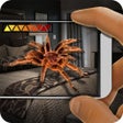 Icono del programa: Spider Camera Radar Prank