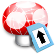 Icon of program: Wii Transfer