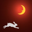 Icono del programa: Rabbits on the Moon