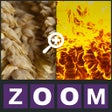 Icon of program: Zoom Quiz - Guess what is…