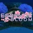 Icon of program: Essence Bloom