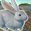 Icon of program: Rabbits Friends