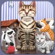 Icon of program: Pregnant Little Kitten 3D…