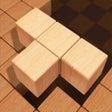 Icono de programa: Wood Block Puzzle - Class…