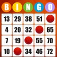 Icono de programa: Absolute Bingo Play Fun G…