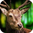 Icon of program: 3D Deer Sniper Hunting Ga…