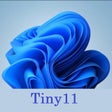 Icon of program: Tiny11