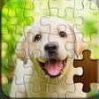 Icon of program: Jigsaw Puzzles Master